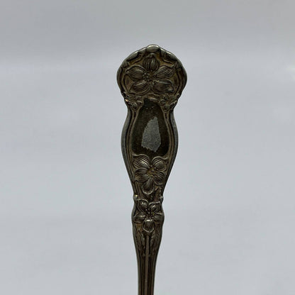 1910 WM Rogers AA Tea Spoon Orange Blossom Pattern 6” SE1