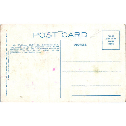 Mount Washburn, Yellowstone Park Original Postcard P2-5