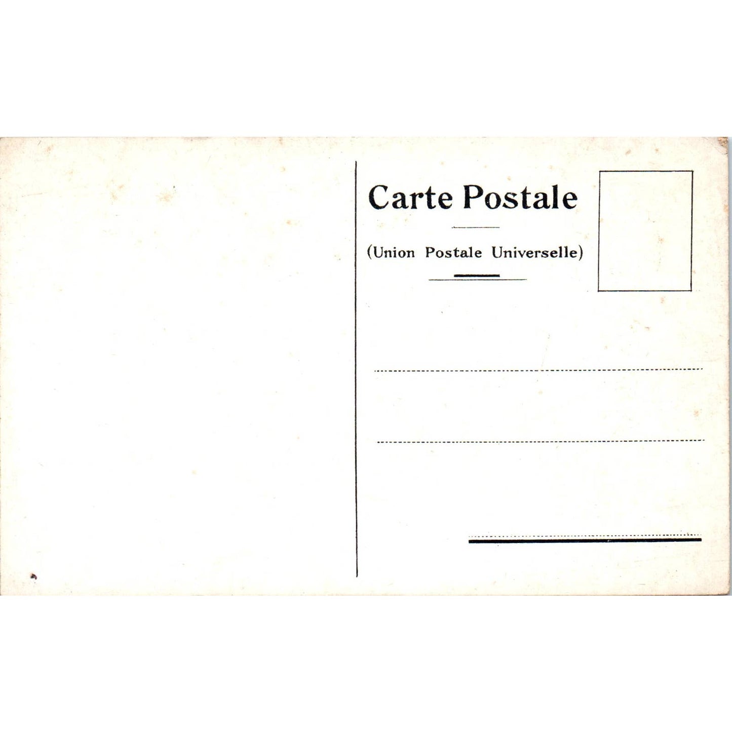 Holland-America Line T.S.S. Rotterdam Steam Ship - Original Postcard TJ9-P1