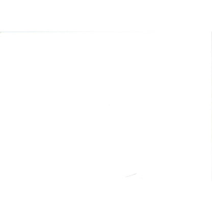 c1970 Original Photograph Bell Flower Wildflowers Flowers 5x7" AD6