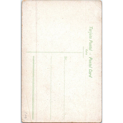 Isle of Pines Bottle Palms Havana Cuba Original Postcard TK1-P16