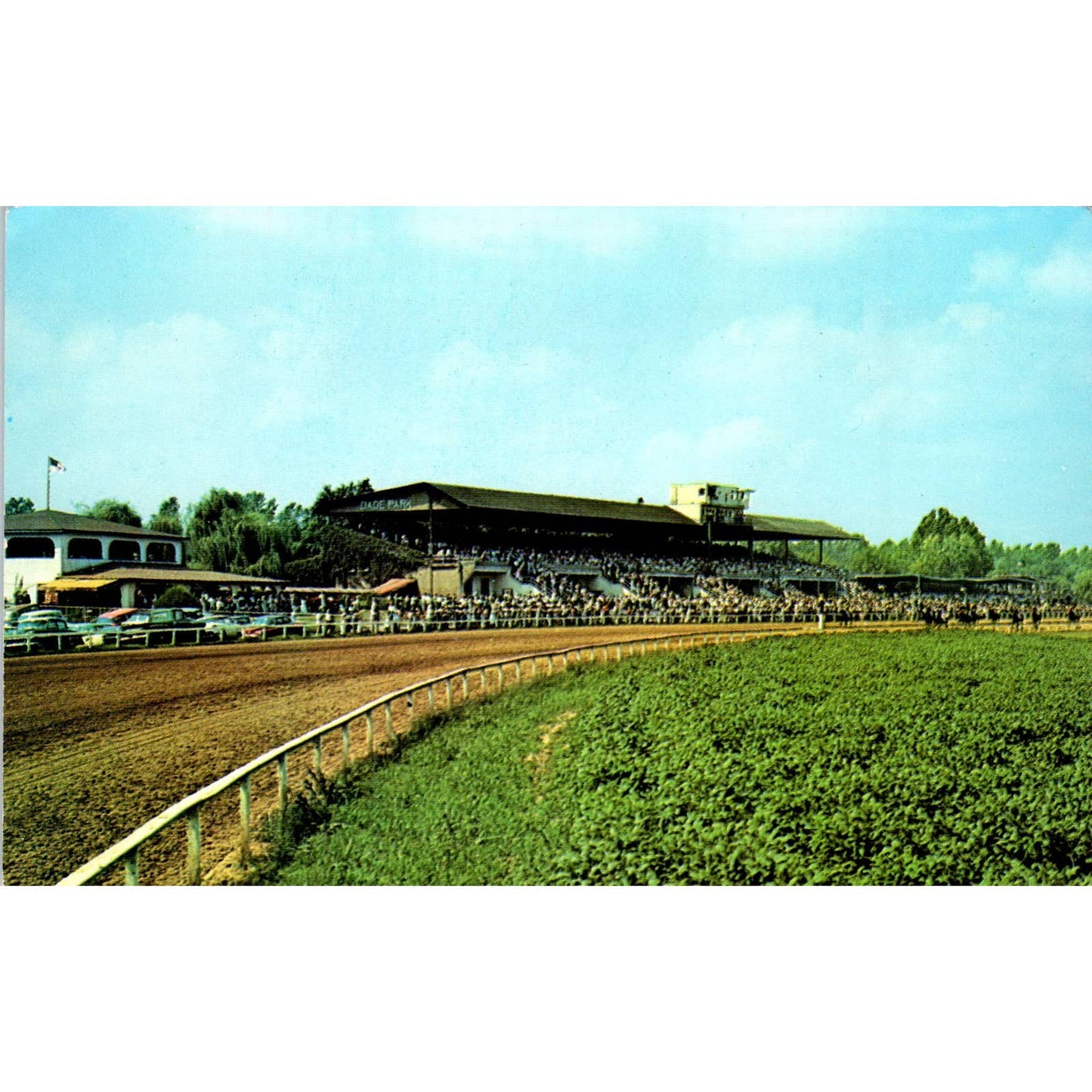 James C. Ellis Park Dade Park Jockey Club Original Postcard TK1-23