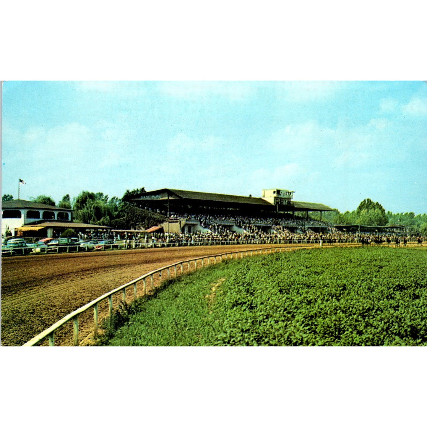 James C. Ellis Park Dade Park Jockey Club Original Postcard P2-9