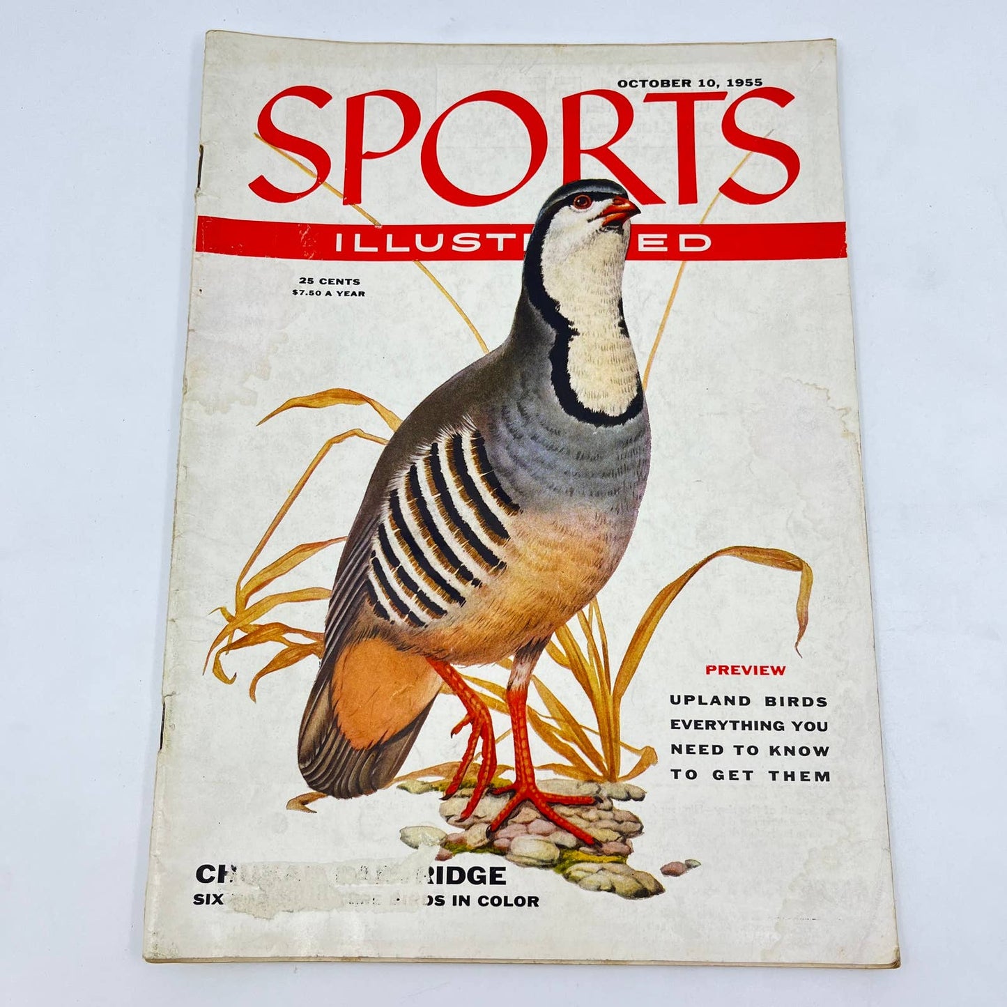 SPORTS ILLUSTRATED OCTOBER 10 1955 BIRD HUNTING COVER Chukar Partridge TE8