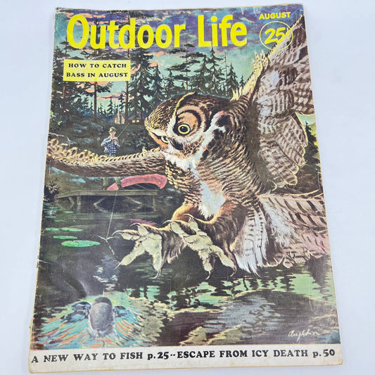 1954 Aug Outdoor Life Magazine Owl Art Bass Quail Deer Hunting TE8