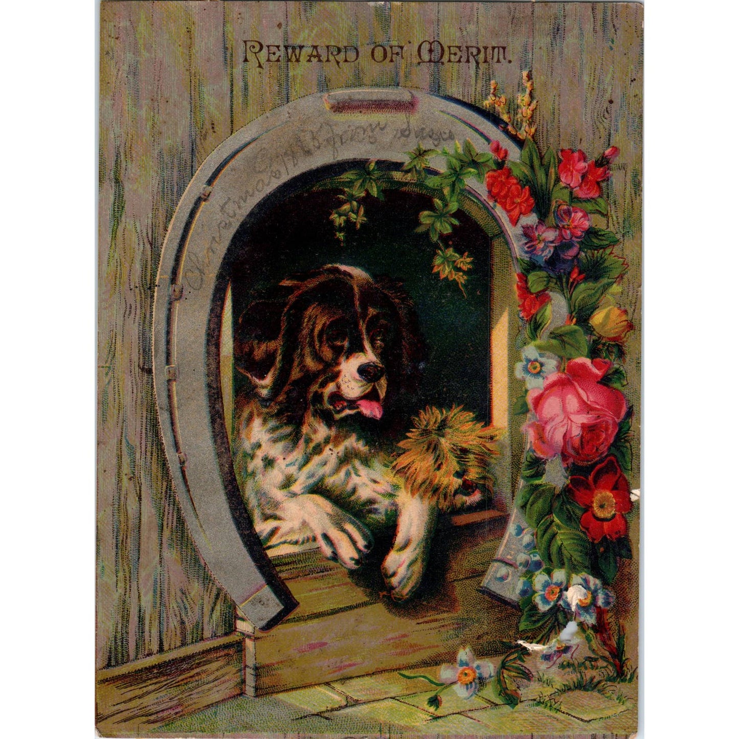 1880s Victorian Trade Card Reward of Merit St. Bernard Dog Yorkshire Terrier SF2