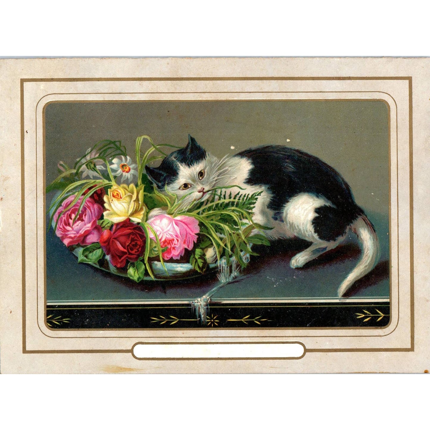 1880s Lithograph Black and White Cat w/ Bouquet of Flowers 5x7 SF2