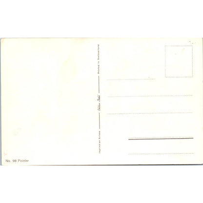 Black & White Pointer Dog Artist Rivst c1910 Original Postcard TK1-27