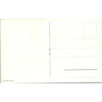 Black & White Pointer Dog Artist Rivst c1910 Original Postcard P1-12