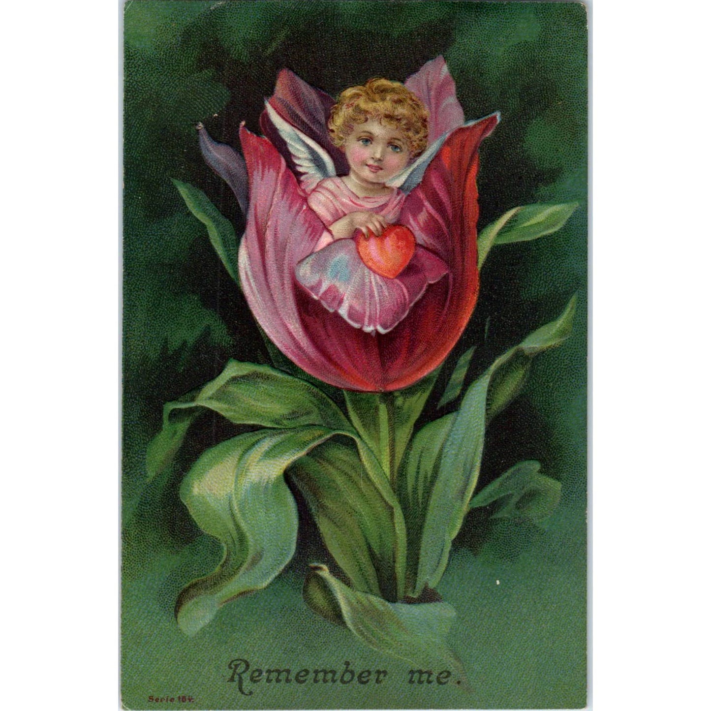 Fairy Angel Face in Flower With Heart Embossed 1909 Original Postcard TK1-27