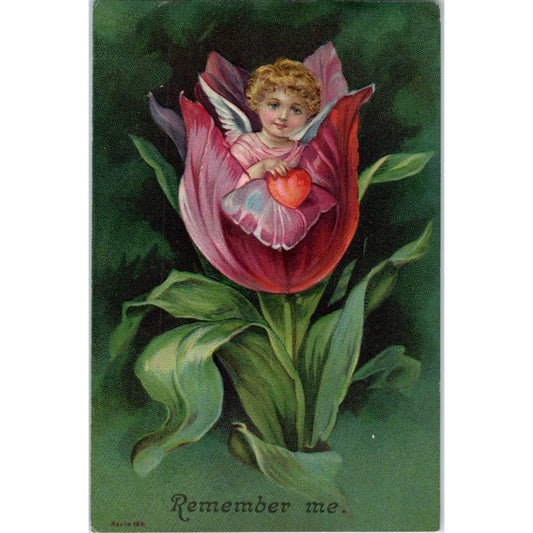 Fairy Angel Face in Flower With Heart Embossed 1909 Original Postcard TK1-27