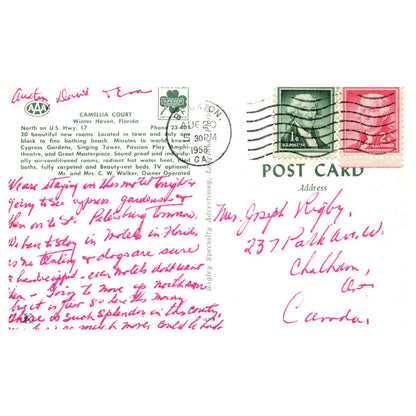 Vintage Postcard - Camellia Court Winter Haven Florida 1958 AD9