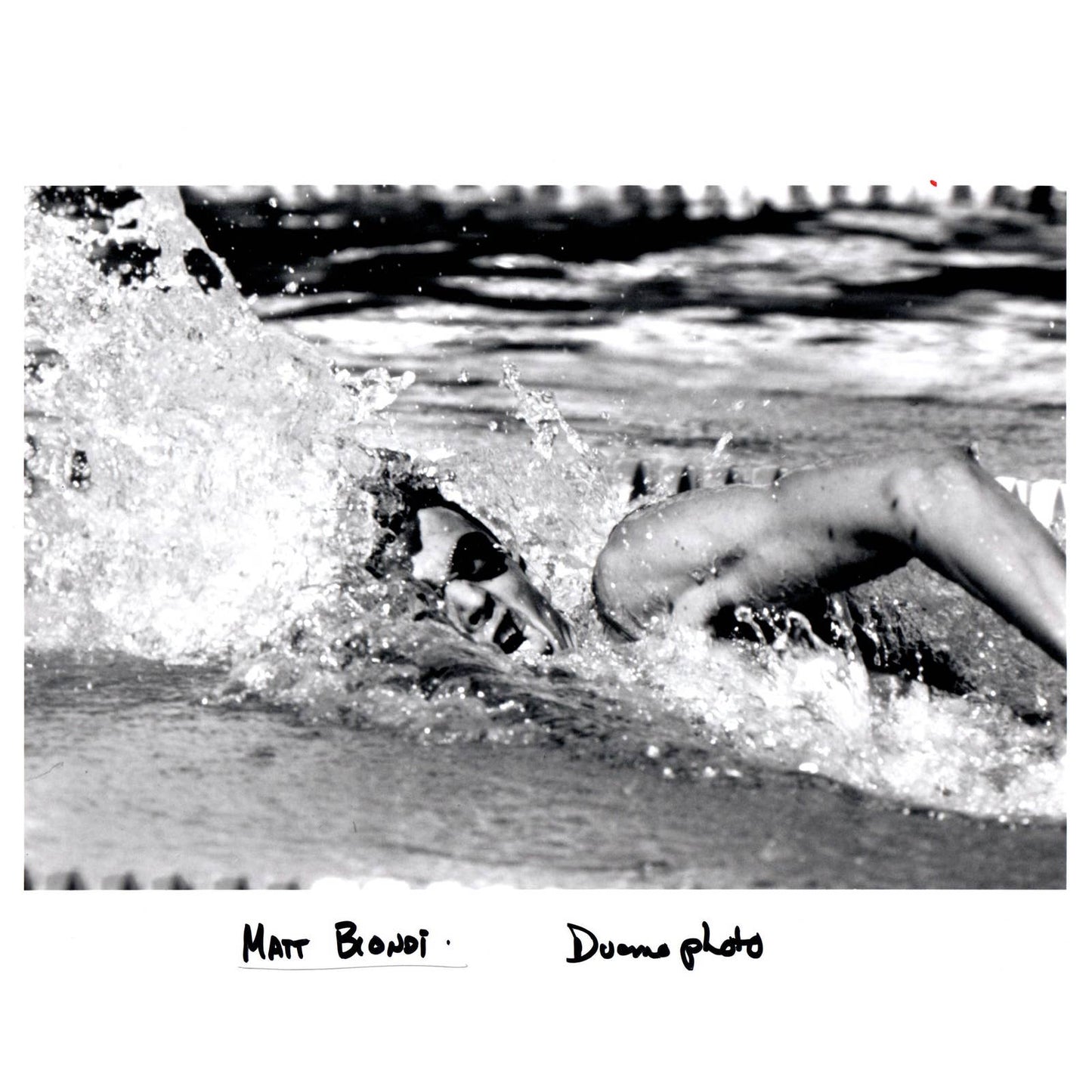 1988 Press Photo Olympic Swimmer Matt Biondi Freestyle 8x10" AD3