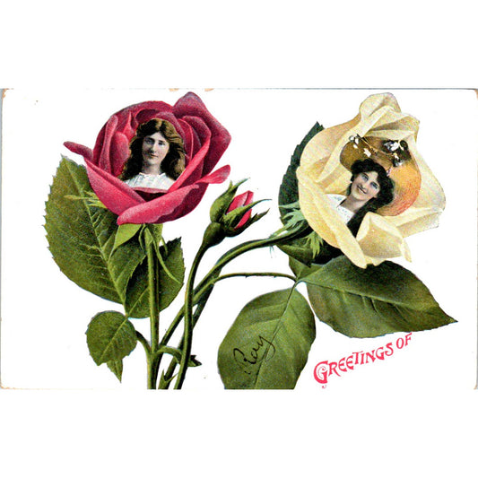 Faces in Roses c1910 Original Postcard TK1-27