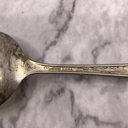 Vintage E.P.N.S. Celtic Plate Soup Spoon 6.5" SA2