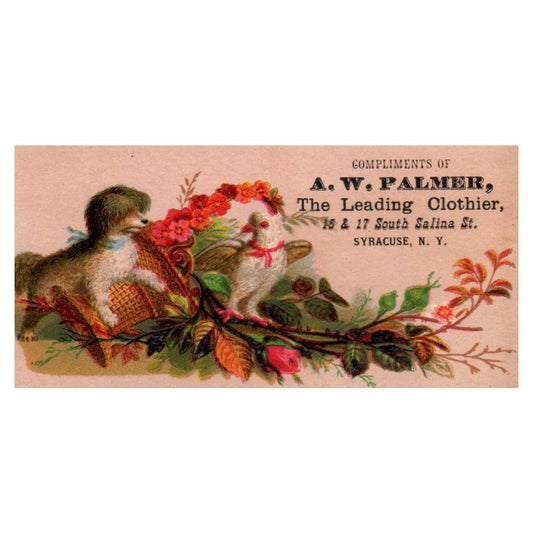 A.W. Palmer Clothier Syracuse NY Puppy Bird - 1880s Victorian Trade Card TJ8-3