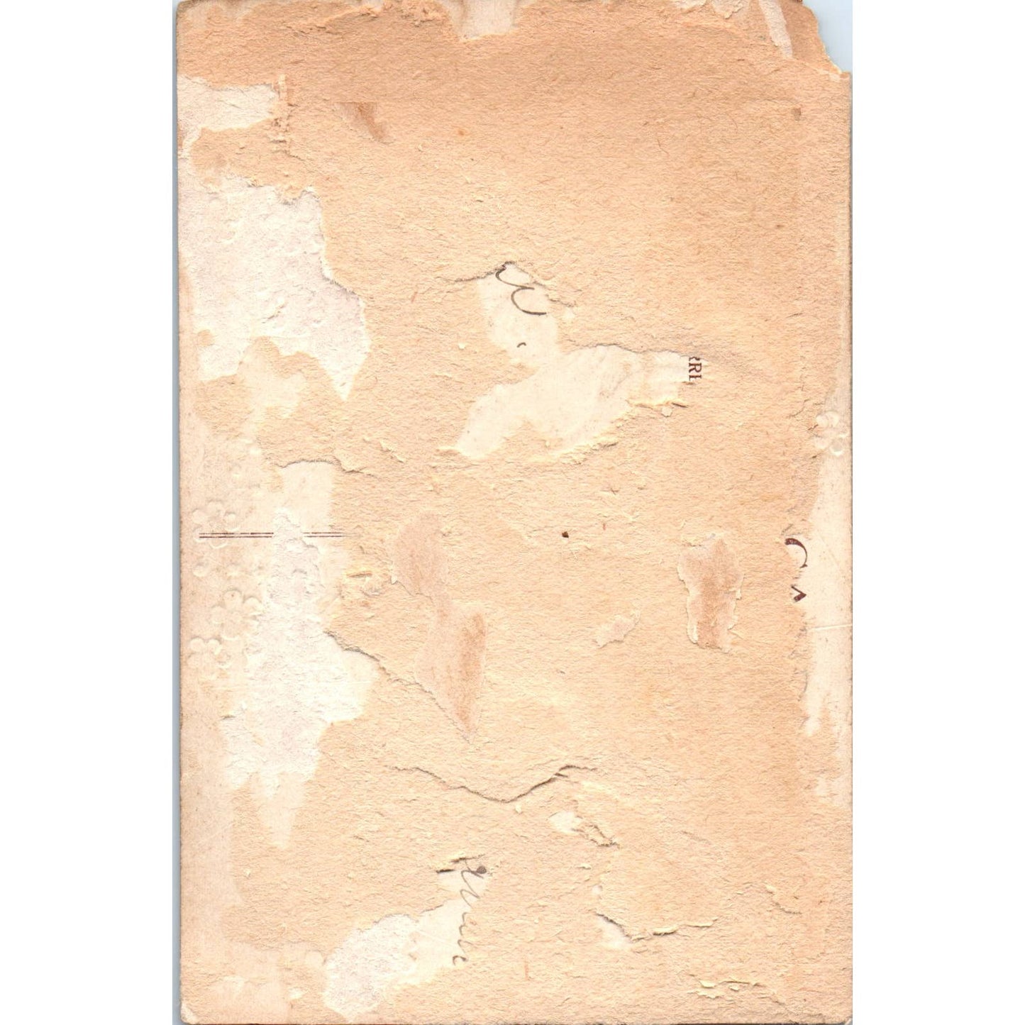 Antique Postcard Valentines Day Cupid in Spider Web Embossed SF2