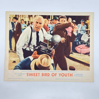 1962 SWEET BIRD OF YOUTH Movie Lobby Card #3 Ed Begley Rip Torn 11x14” FL3