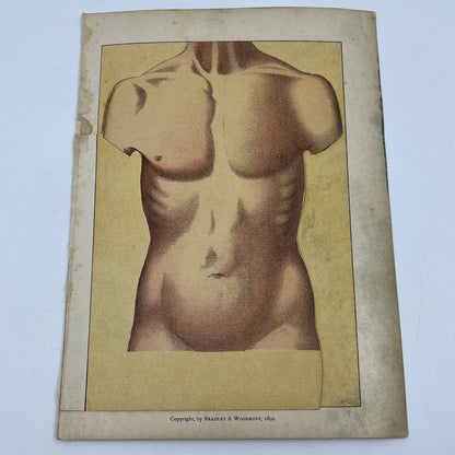 1892 Lithograph Anatomical Fold-Out Torso In 6 Sections. Bradley & Woodruff AC8