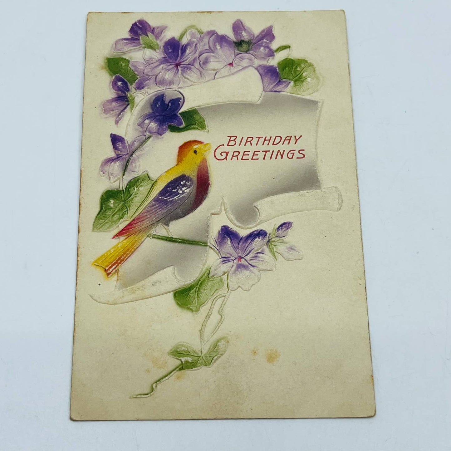 1910s Birthday Post Card Embossed Airbrushed Bird Forget Me Nots PA5