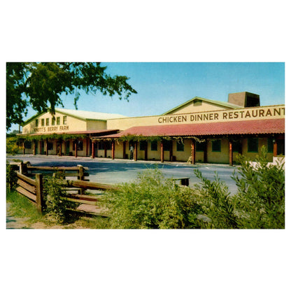 Vintage Postcard - Mrs. Knott's Chicken Dinner Restaurant Ghost Town CA AD9