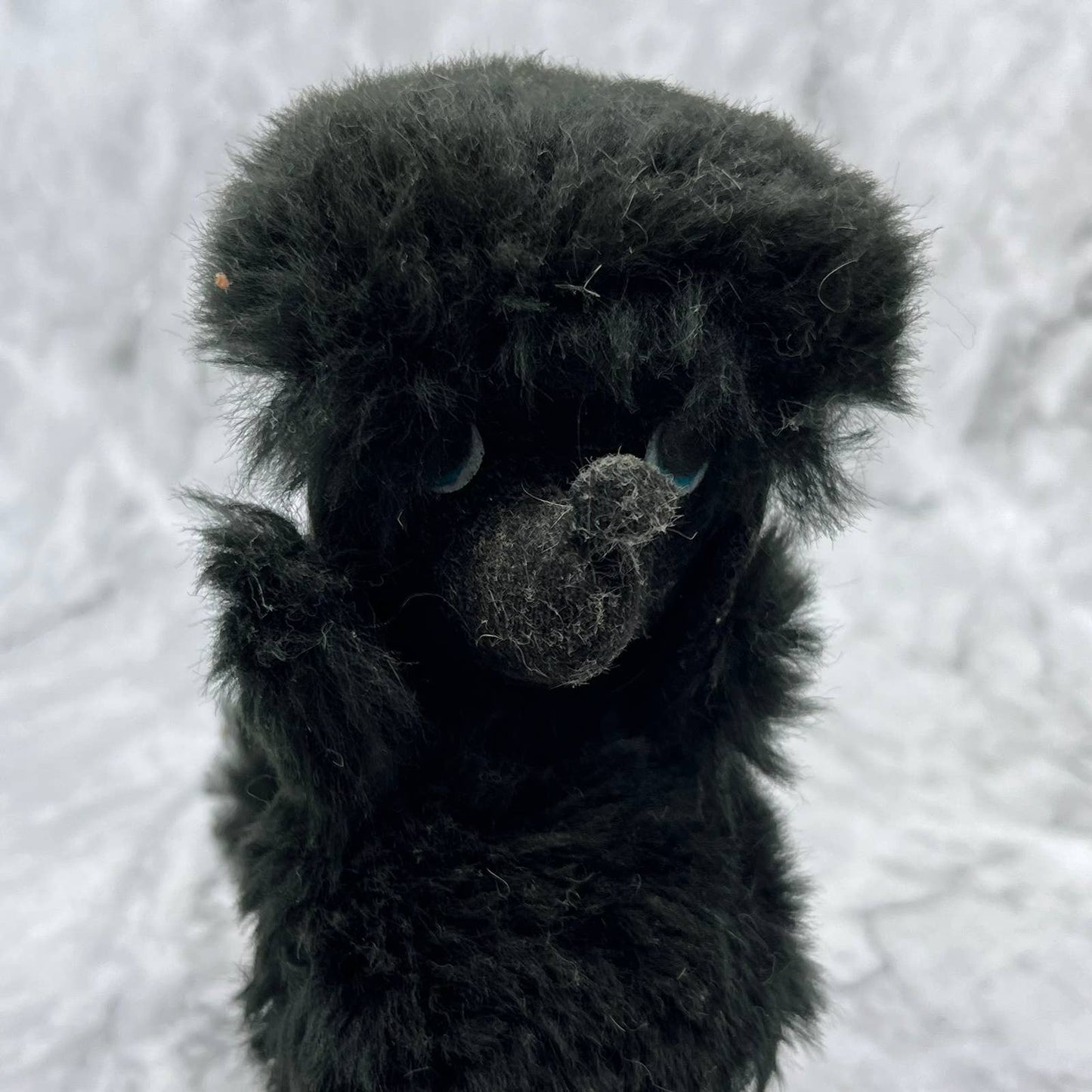 1950s MCM Black Celluloid Flocked Felt Dog Poodle Toy 4x6 TJ1