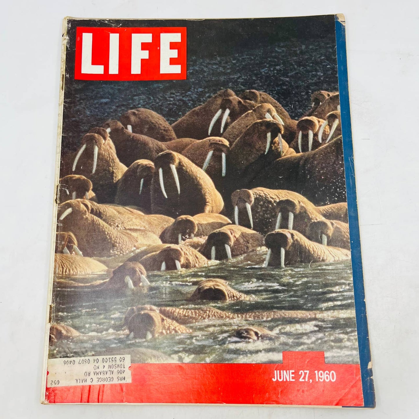 Life Magazine June 27, 1960 - Bearing The Alaskan Walrus / Arnold Palmer TA8