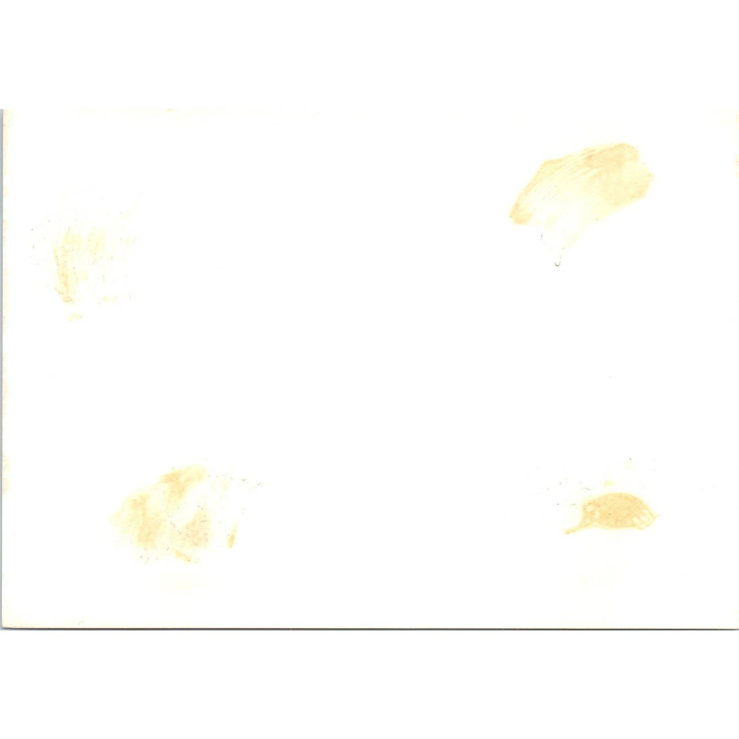 Mexico Ambassador Margain at Student Q&A Session 1963 Original Photo 5x7 TK1-P4