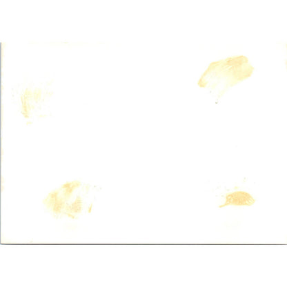 Mexico Ambassador Margain at Student Q&A Session 1963 Original Photo 5x7 TK1-P4