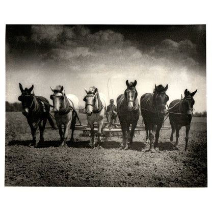 Vintage 8x10 Photo Print "Farming" 6 Horses Tom Firth Trappe MD AC9