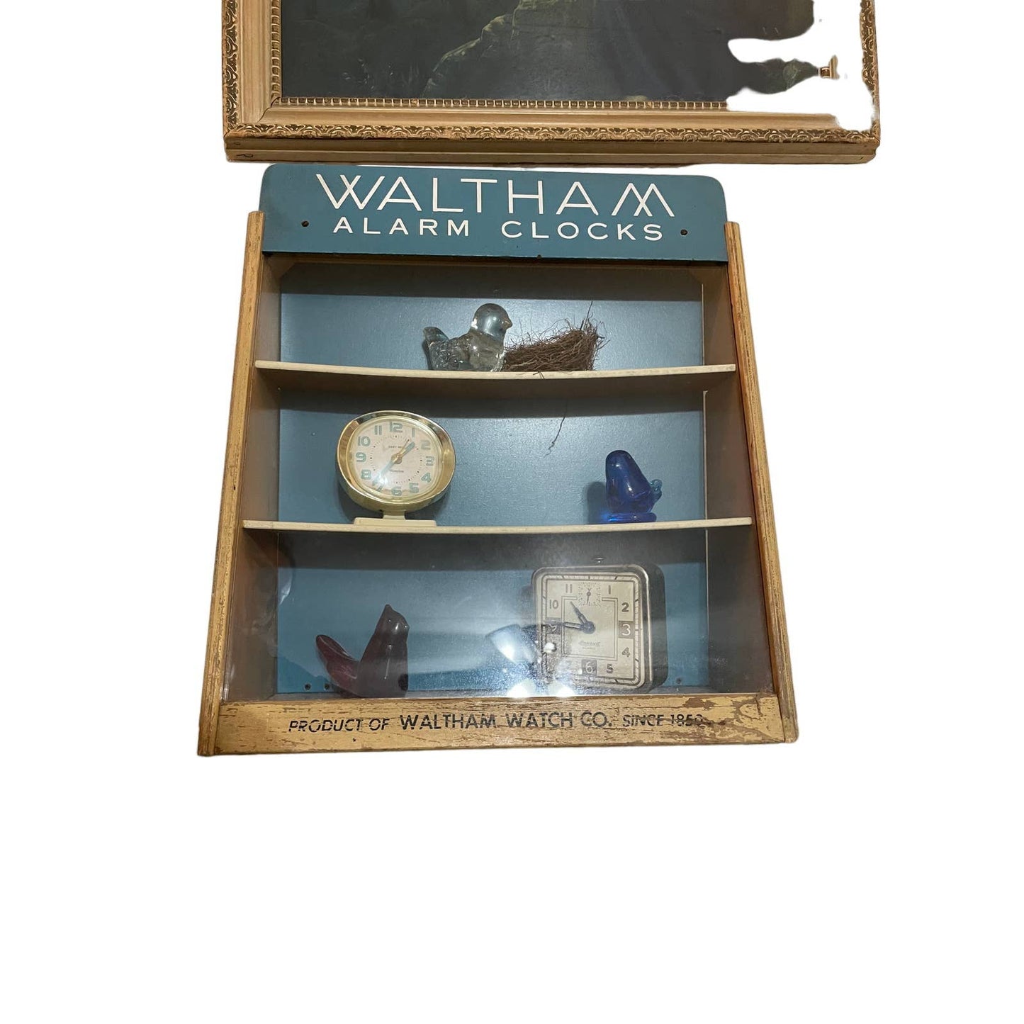 Vintage Waltham Alarm Clocks Store Display Case Glass Cabinet with Shelves