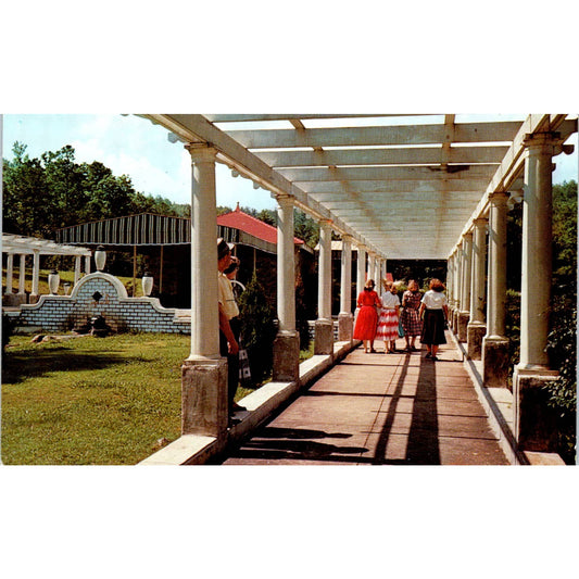 Mountain Valley Mineral Water Spring Hot Springs AR Original Postcard TK1-P1