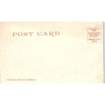 State Capitol Madison Wisconsin 1900 UNUSED Original Postcard TJ9-P3