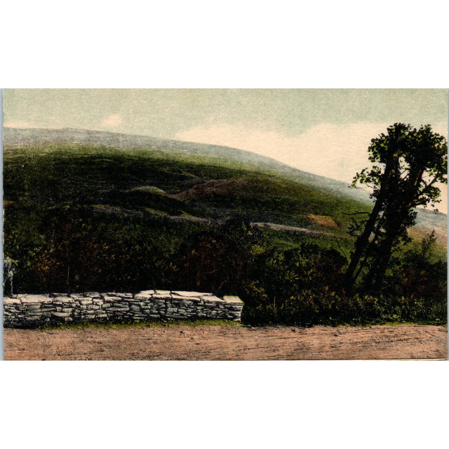 Antique Fold Out Panoramic Postcard View from Top of Allegheny Mountain PA TI1-1