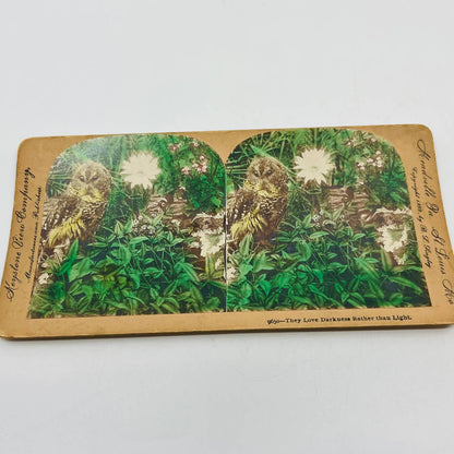 1900 Stereoview Card Hand Tinted Owl and Flowers