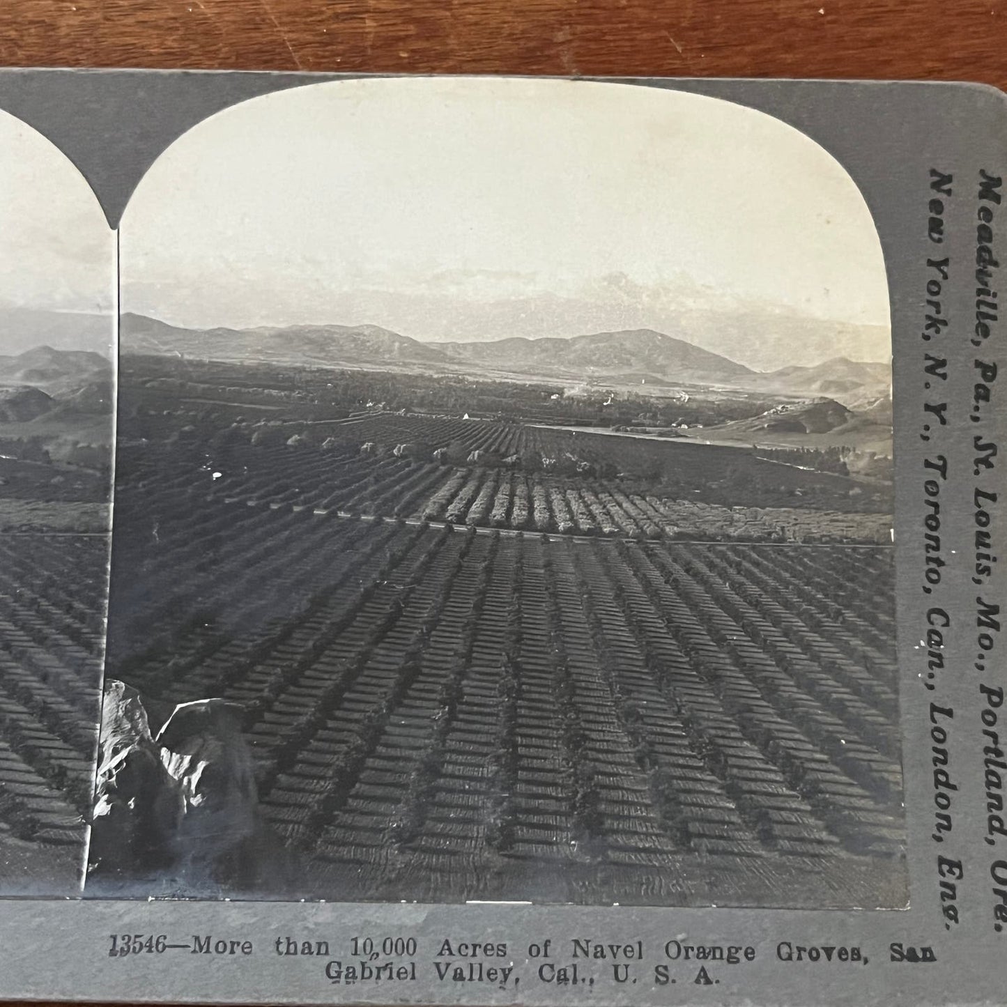 Navel Orange Groves San Gabriel Valley CA 1903 Antique Stereoview Card TJ9-V1
