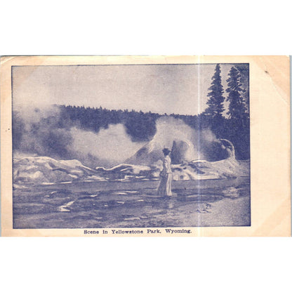 Scene in Wyoming, Yellowstone Park Original Postcard TK1-P15