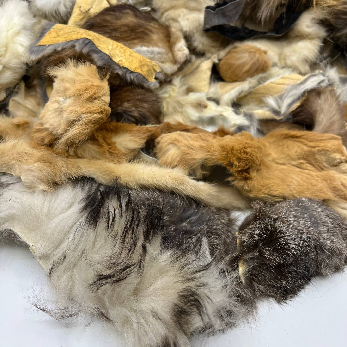 HUGE Fur Scrap Lot 2+ Pounds Fox Coyote Beaver Ermine More Craft Remnants FL3