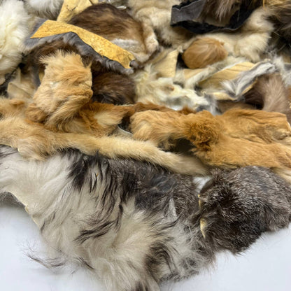HUGE Fur Scrap Lot 2+ Pounds Fox Coyote Beaver Ermine More Craft Remnants FL3