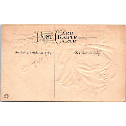For Hearth and Home Matinee at the Grand Original Postcard P2-10