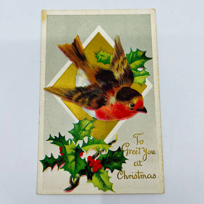 1910s Christmas Post Card Embossed Bird Robin Holly Dresden Gold PA4