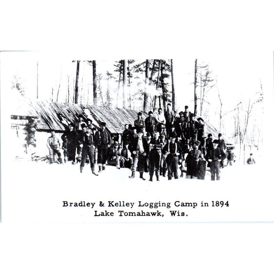 Bradley & Kelley Logging Camp in 1894 Lake Tomahawk WI RPPC Postcard TJ9-P3