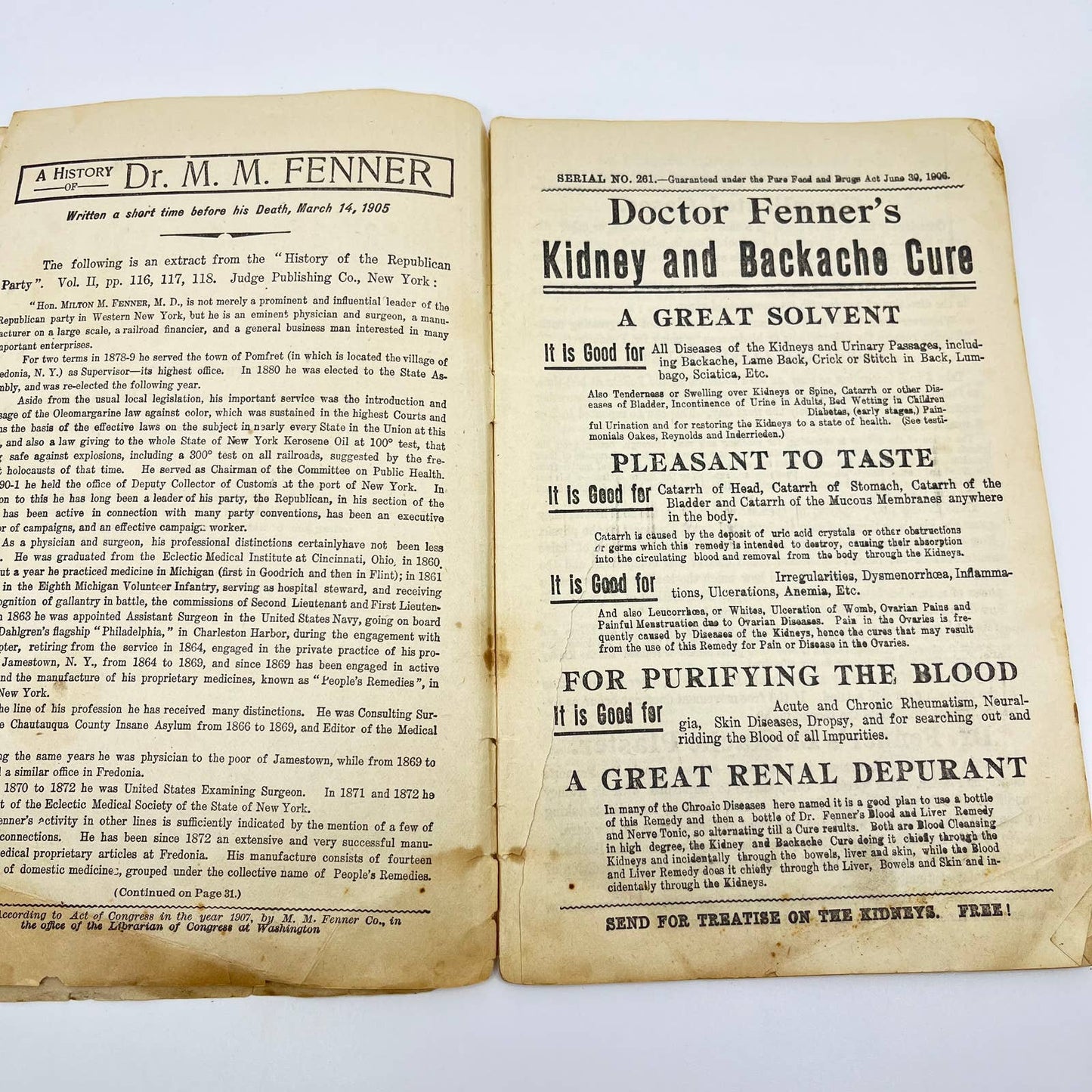 1906 Dr. Fenner’s Cook Book Quack Medicine Recipes Fredonia NY TE2