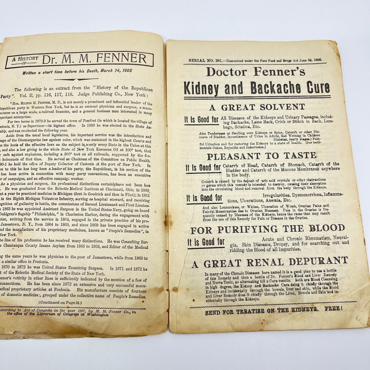 1906 Dr. Fenner’s Cook Book Quack Medicine Recipes Fredonia NY L1-5