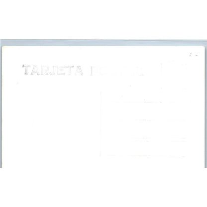 Cacahuamilpa Por Cascada De Las Fuentes Grutas Mexico - RPPC Postcard TJ7-MP