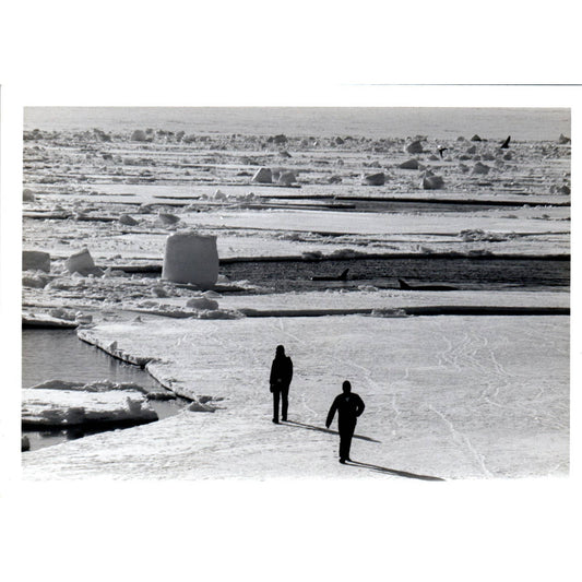 c1970 Original Photograph 2 Men Walking on Ice Floe Alaska 5x7 AD6