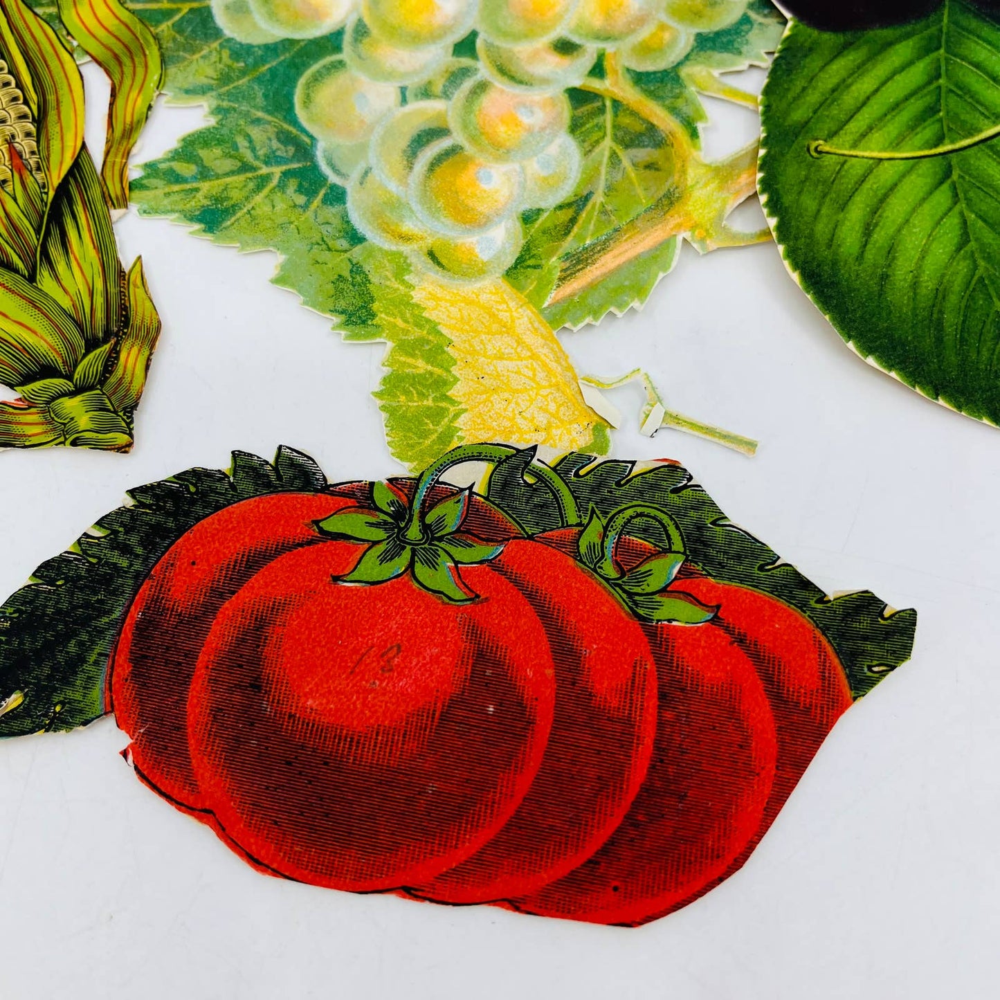 ANTIQUE Lot of 8 Victorian Lithograph Cut Outs Fruit Vegetable Flora AA3