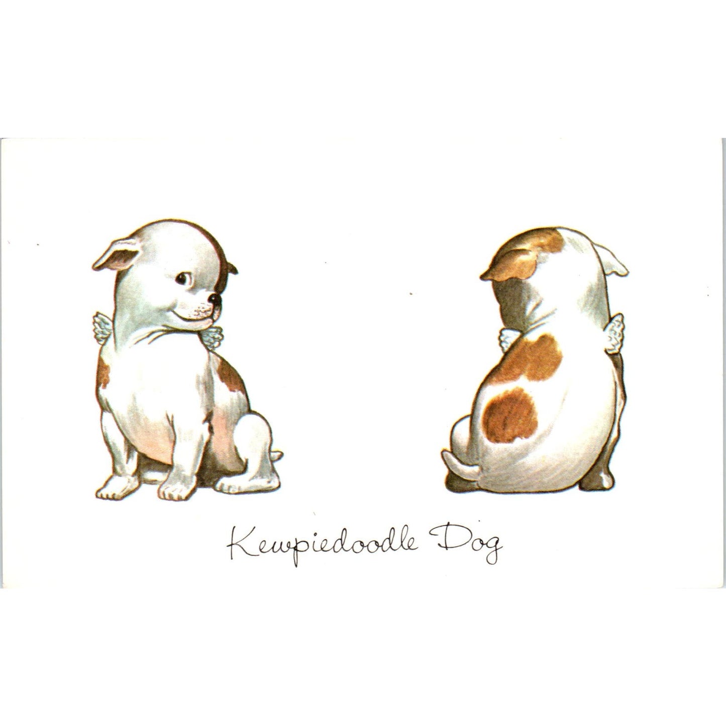 Kewpiedoodle Dog Original Postcard PB6