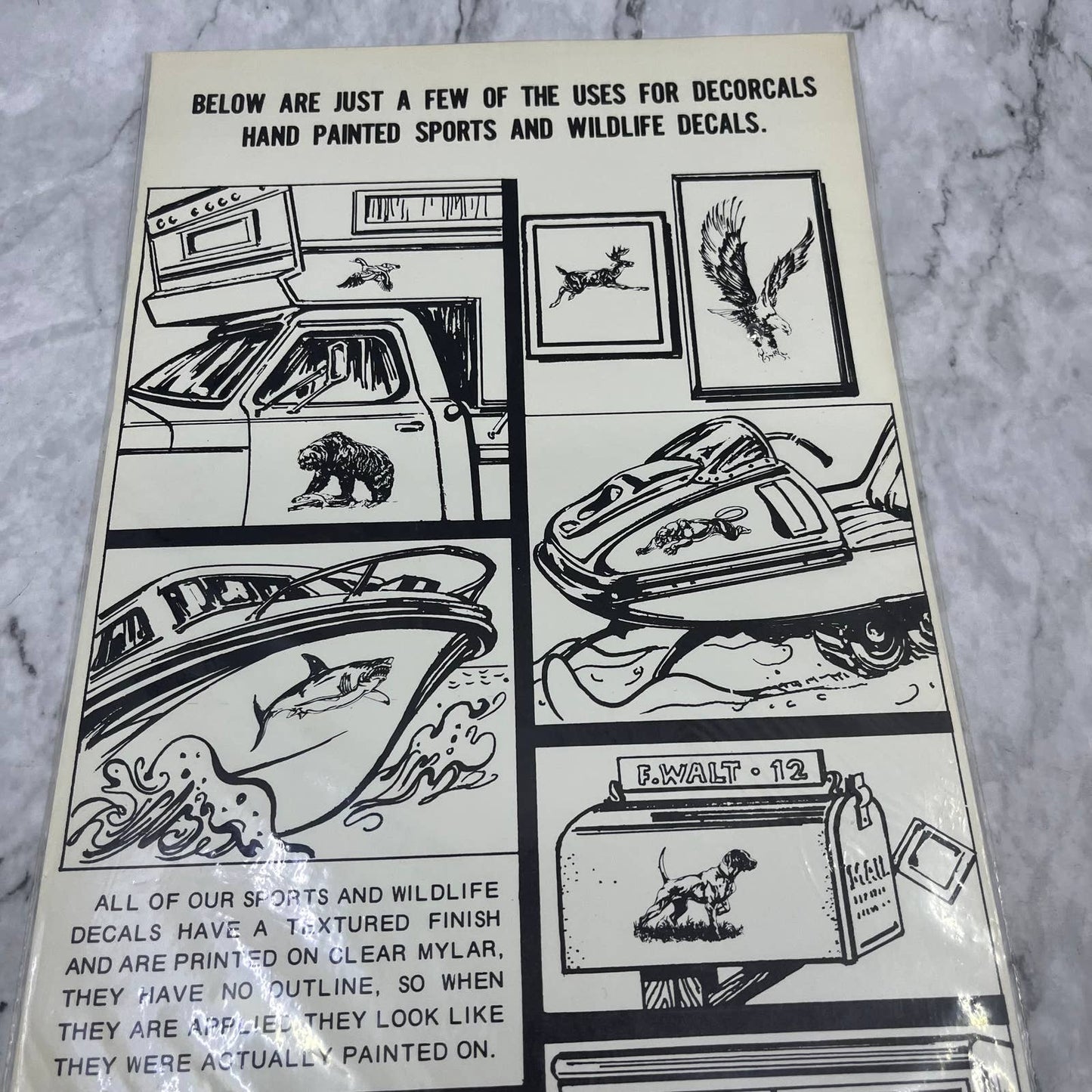 1977 NEW NOS Decorcal Sports & Wildlife Decal W-3 Bald Eagle FL5