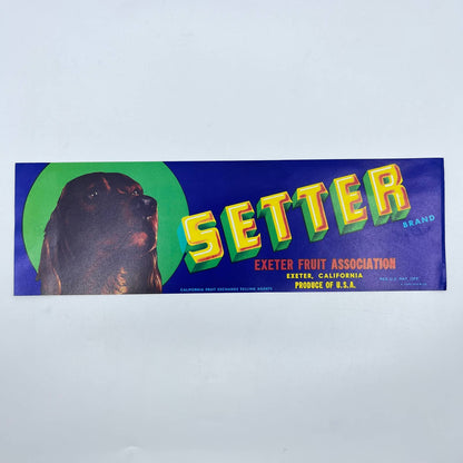 1930s Setter Dog Brand Fruit Crate Label Exeter CA FL3